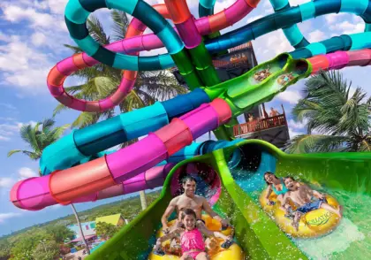 Mas de 500 proyectos realizados