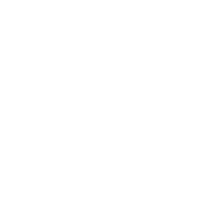 Dolphin Discovery
